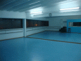 /album/galeria-de-fotos/galeria20-gif2/